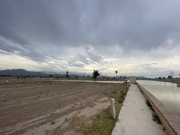 Terreno en venta en Ciudad Juárez, Lerdo — foto 3 de 9