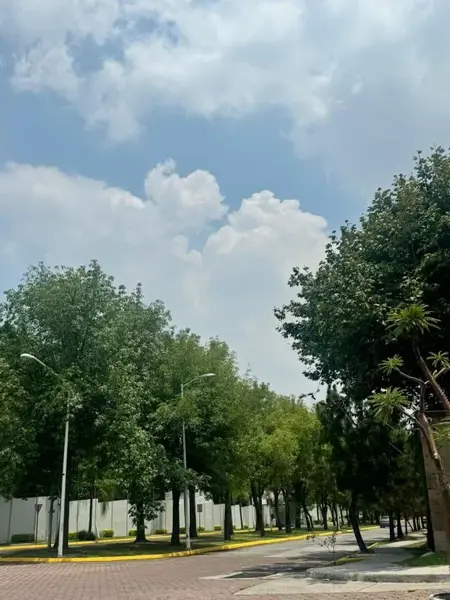 Terreno en venta en Lomas Del Bosque, Zapopan — foto 3 de 11