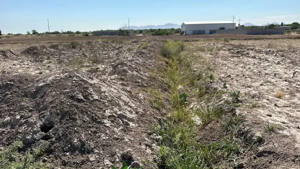 Terreno en venta en Hormiguero, Matamoros — foto 3 de 8