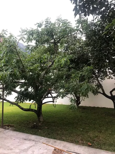 Casa en venta en Lomas de San Juan, Tepic — foto 2 de 18