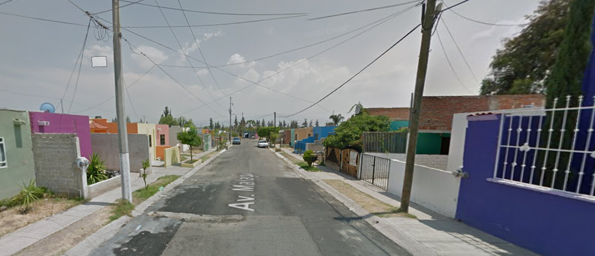 Imagen 5