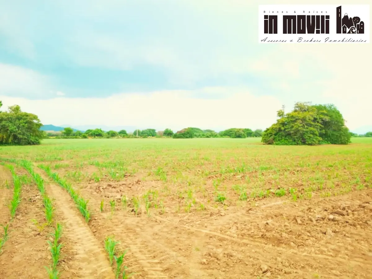 Terreno en venta en La Noria, Santo Domingo Tehuantepec — foto 1 de 15