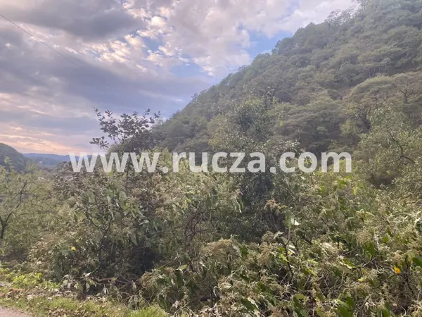 Terreno en venta en Centro, Pinal de Amoles — foto 2 de 5
