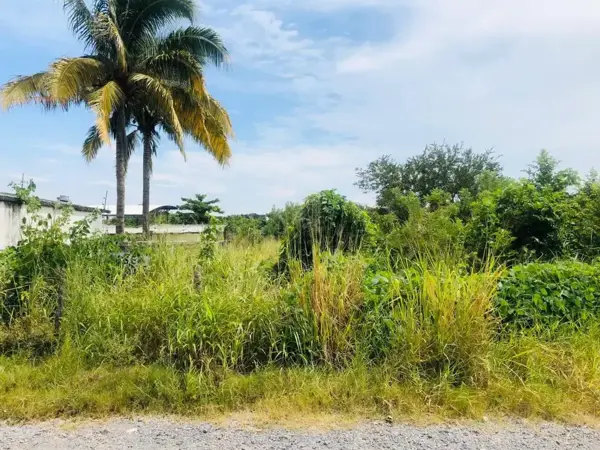 Terreno en venta en Campestre las Bajadas, Veracruz — foto 3 de 3