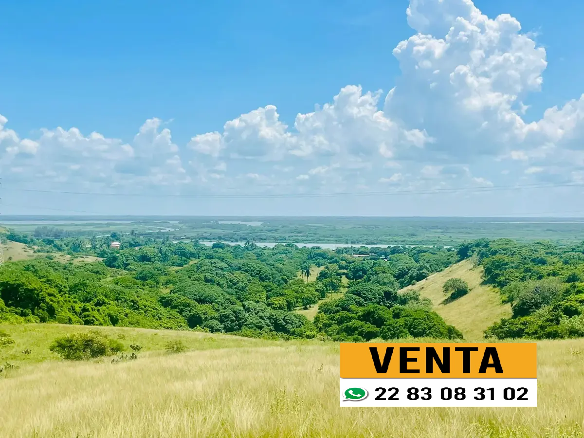 Terreno en venta en Los Médanos de Buena Vista, Alvarado — foto 1 de 3