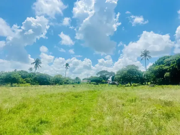 Terreno en venta en Los Médanos de Buena Vista, Alvarado — foto 2 de 3