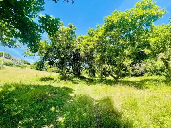 Terreno en venta en Los Médanos de Buena Vista, Alvarado — foto 3 de 3