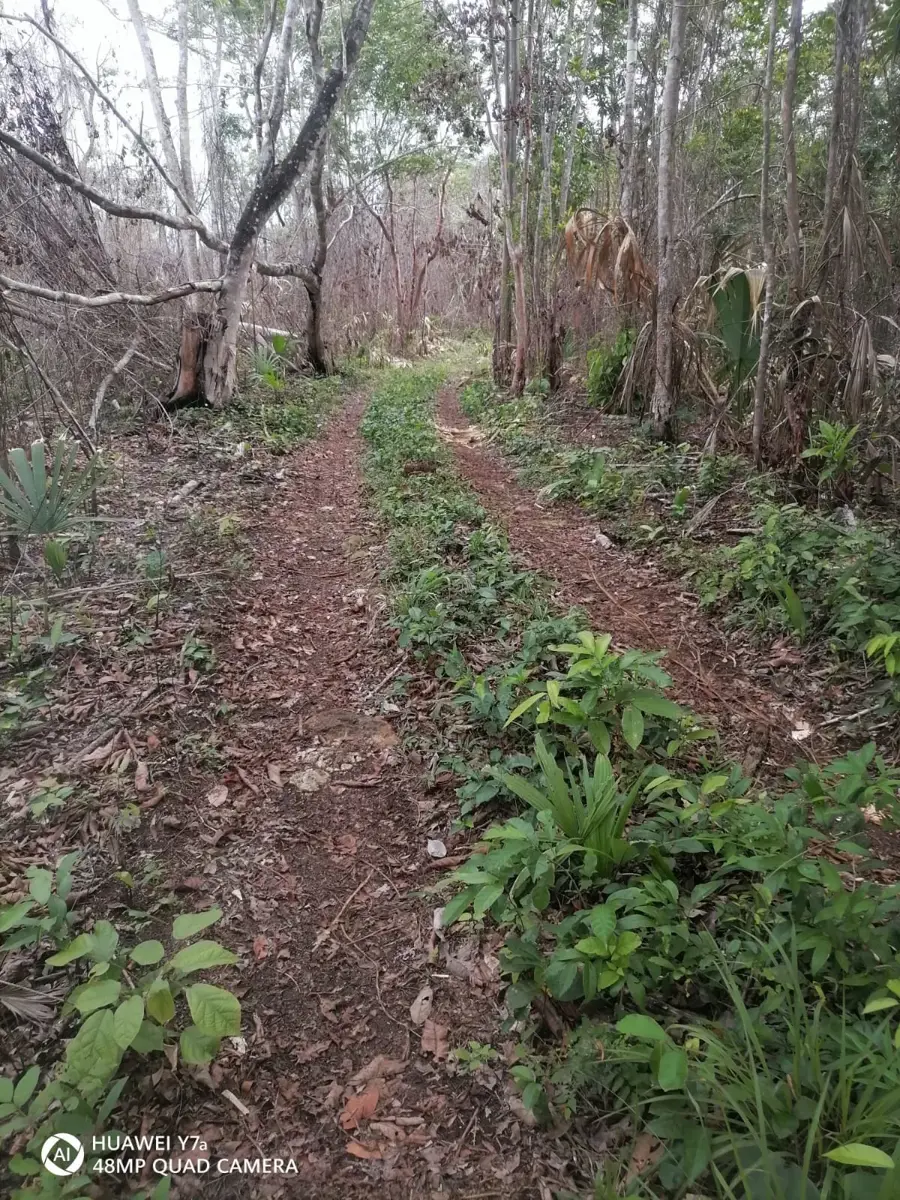Finca-Rancho en venta en Altos de Sevilla, Bacalar — foto 1 de 4