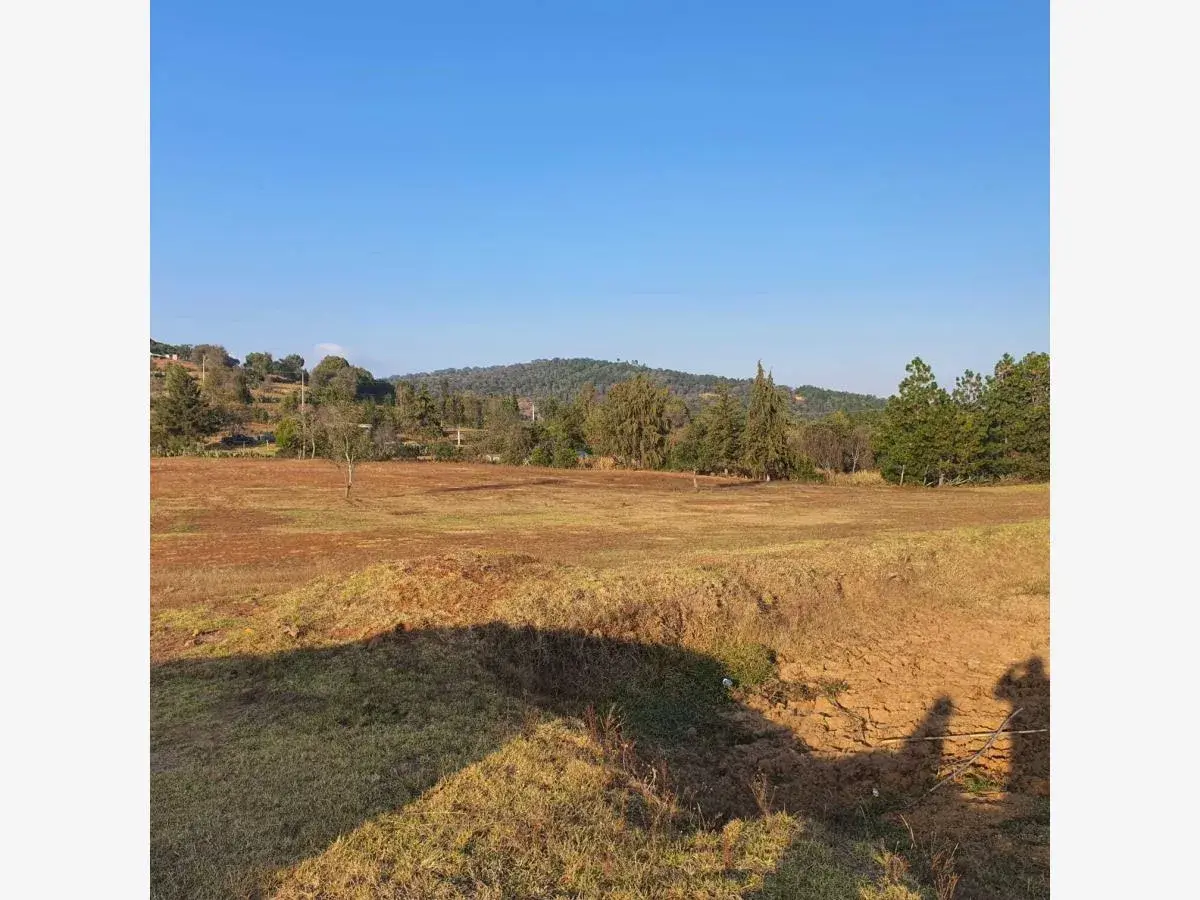 Terreno en venta en San Jerónimo, Huasca de Ocampo — foto 1 de 3