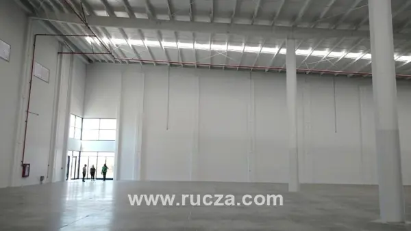 Nave en renta en Castro del Río (Parque Tecnoindustrial), Irapuato — foto 2 de 4