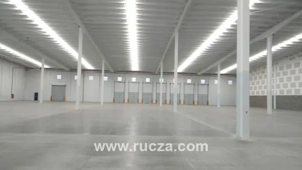 Nave en renta en Castro del Río (Parque Tecnoindustrial), Irapuato — foto 3 de 4