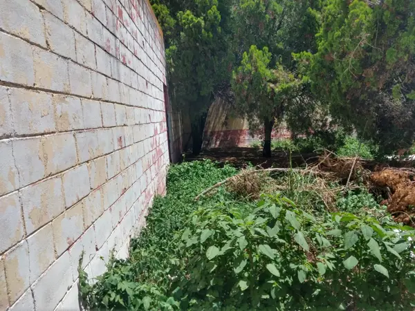 Edificio en venta en Ojocaliente Centro, Ojocaliente — foto 3 de 11