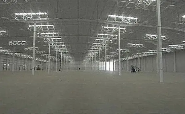 Nave en renta en Castro del Río (Parque Tecnoindustrial), Irapuato — foto 3 de 5