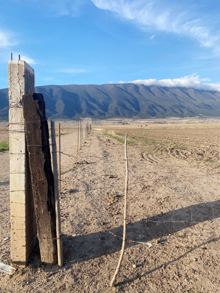 Terreno en venta en San Antonio de las Alazanas, Arteaga — foto 3 de 3