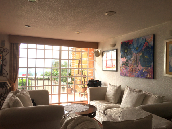 Casa en venta en San Andres Totoltepec, Tlalpan — foto 3 de 15