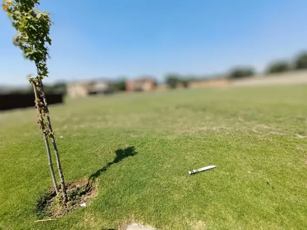 Terreno en venta en Val Quirico, Tetlatlahuca — foto 3 de 4
