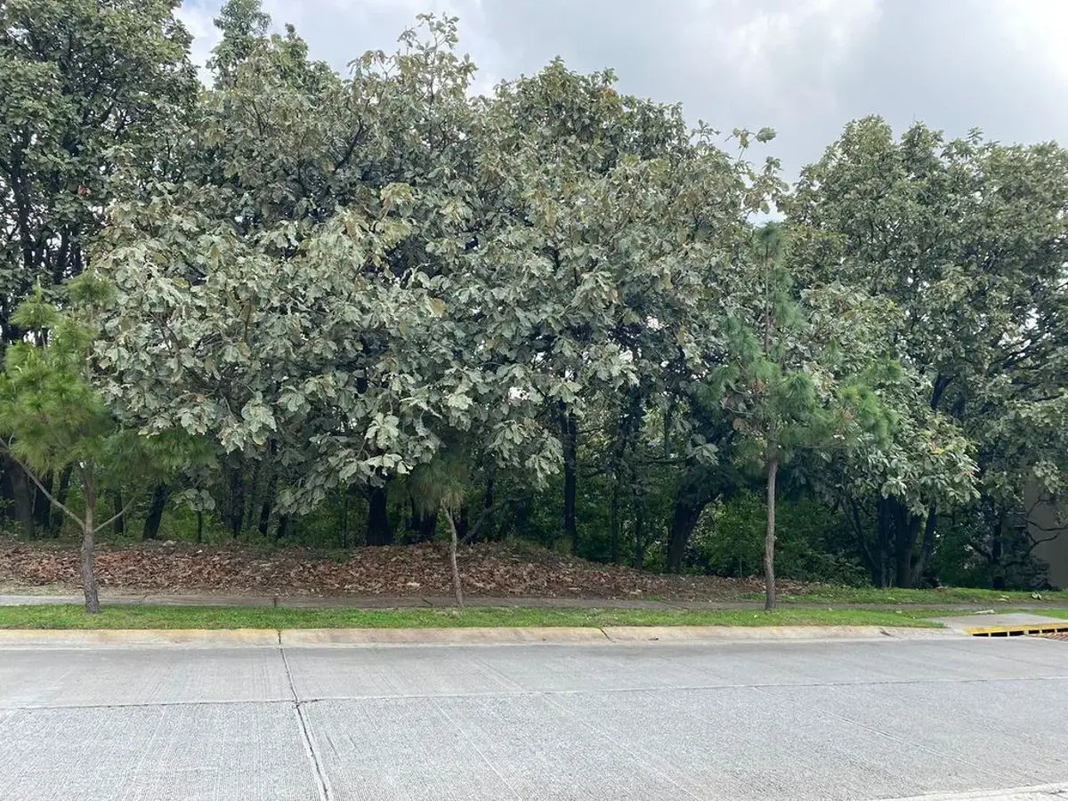 Terreno en venta en El Palomar, Tlajomulco de Zúñiga — foto 1 de 5