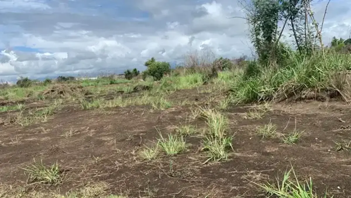 Terreno en venta en Herón Proal (Campestre), Medellín de Bravo — foto 1 de 2