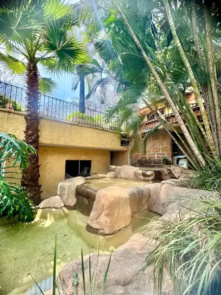 Casa en venta en Lomas de Cortes, Cuernavaca — foto 2 de 23