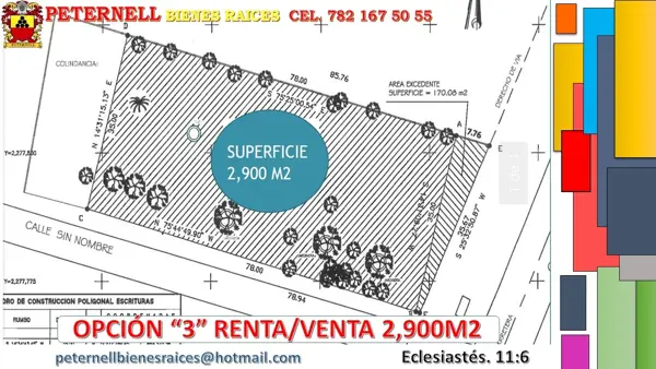 Terreno en renta en Villa de las Flores, Poza Rica de Hidalgo — foto 2 de 4