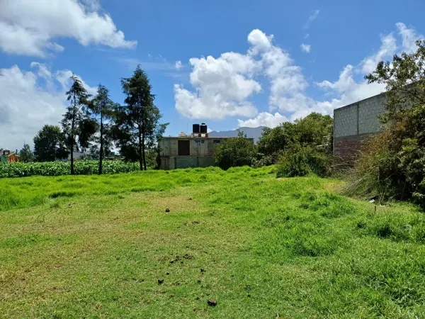 Terreno en venta en Tomatlán, Zacatlán — foto 3 de 30