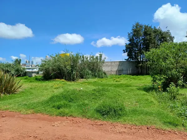 Terreno en venta en Tomatlán, Zacatlán — foto 2 de 30