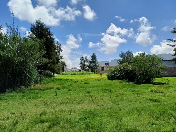 Terreno en venta en Tomatlán, Zacatlán, Puebla