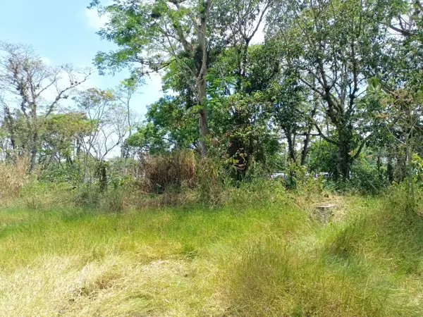 Terreno en venta en Alborada, Emiliano Zapata — foto 2 de 4