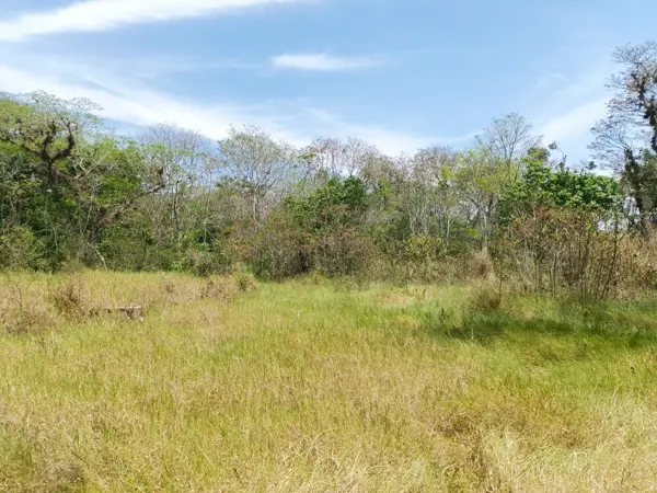Terreno en venta en Alborada, Emiliano Zapata — foto 3 de 4