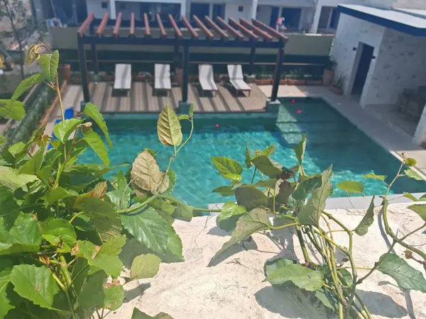Casa en venta en Pedregal de Schoenstatt, Corregidora — foto 2 de 34