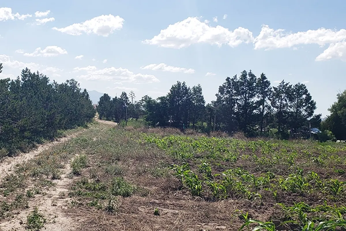 Terreno en venta en Agua Nueva, Saltillo — foto 1 de 6