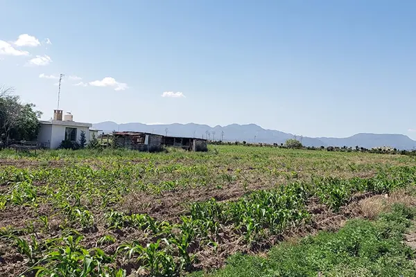 Terreno en venta en Agua Nueva, Saltillo — foto 2 de 6