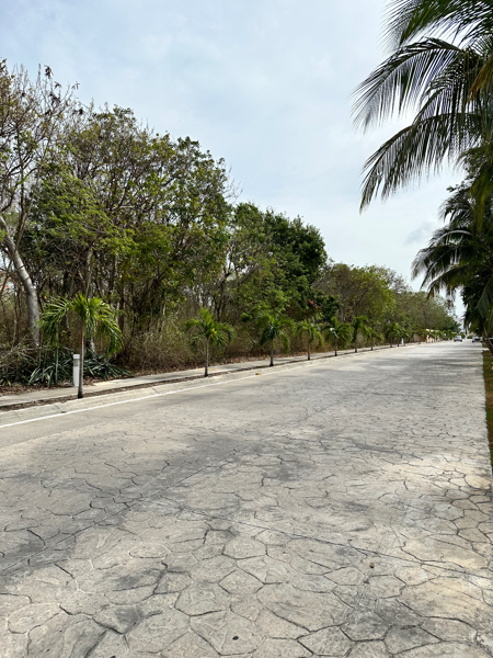 Terreno en venta en Puerto Aventuras, Solidaridad — foto 3 de 5