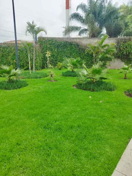 Departamento en renta en Lomas de San Pedrito, San Pedro Tlaquepaque — foto 2 de 16