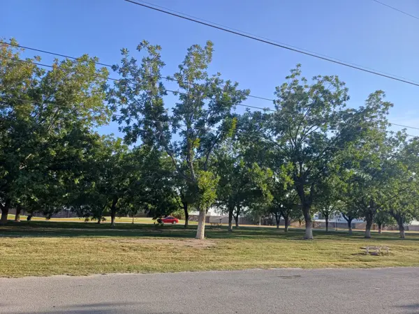 Terreno en venta en Las Trojes, Torreón — foto 3 de 5