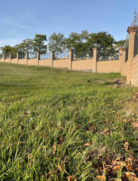 Terreno en venta en Lomas de Angelópolis, San Andrés Cholula — foto 2 de 5