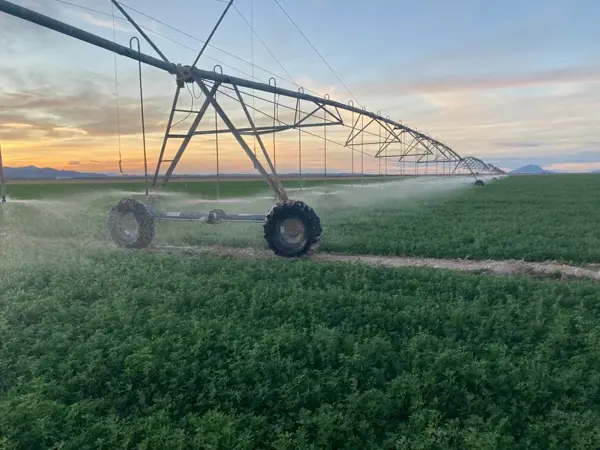 Terreno en venta en San Juan de Banderas, Tlahualilo — foto 3 de 10