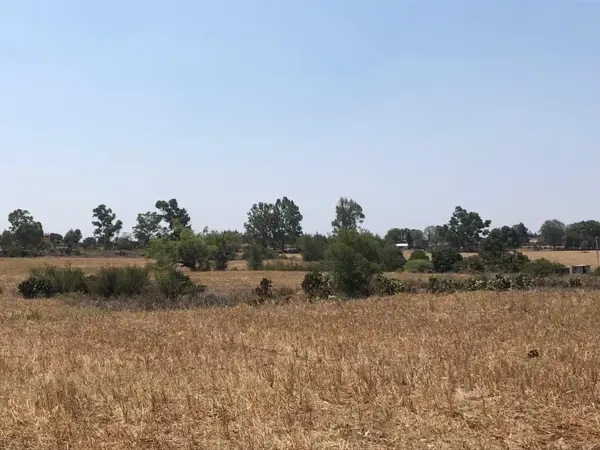 Terreno en venta en San Pablo Ojo de Agua, Huasca de Ocampo — foto 2 de 16