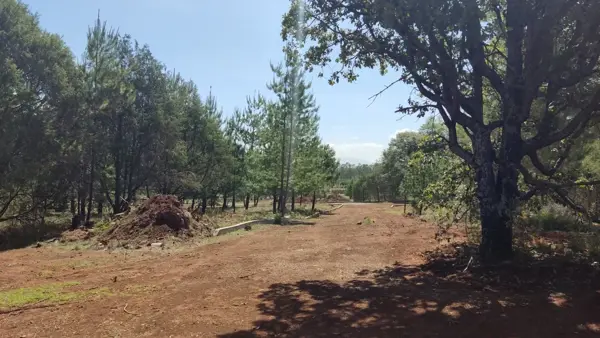 Terreno en venta en San Pablo Ojo de Agua, Huasca de Ocampo — foto 2 de 10