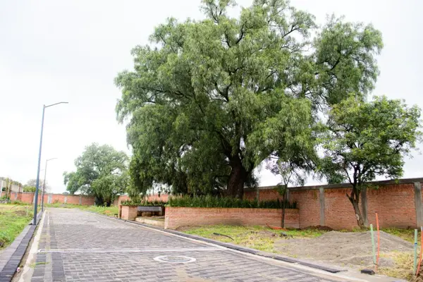 Terreno en venta en Cholula, San Pedro Cholula — foto 3 de 6