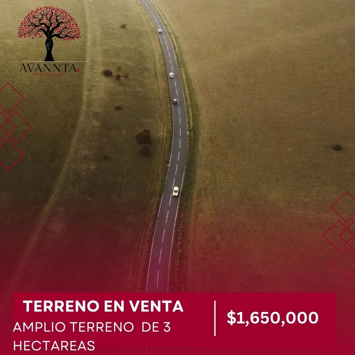 Terreno en venta en San Antonio Escobedo, Polotitlán — foto 1 de 4