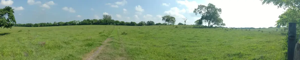 Terreno en venta en Balcazar, Tamiahua — foto 1 de 10
