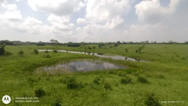 Terreno en venta en Balcazar, Tamiahua — foto 2 de 10