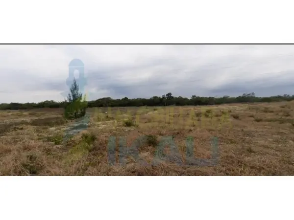 Terreno en venta en San Antonio, Tuxpan — foto 3 de 10