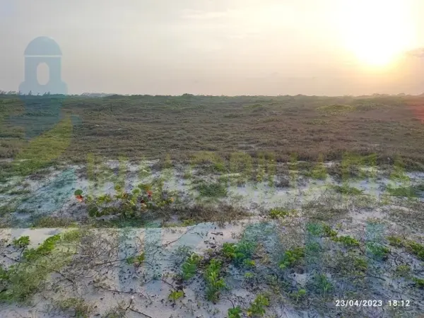 Terreno en venta en Palo Blanco, Tamiahua — foto 2 de 10