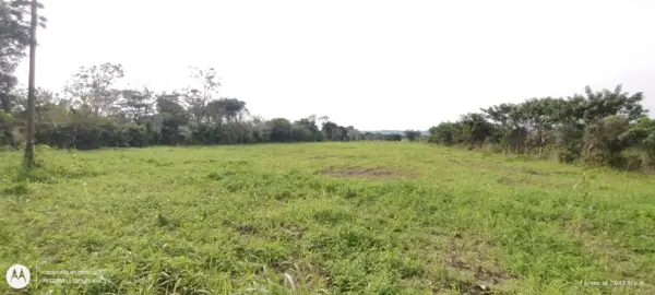 Terreno en venta en Primavera, Poza Rica de Hidalgo — foto 2 de 2
