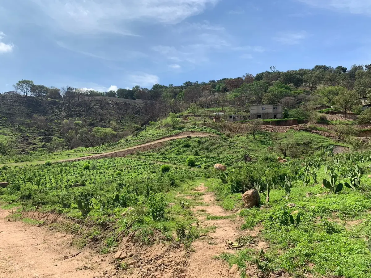 Terreno en venta en San Esteban, Zapopan — foto 1 de 17
