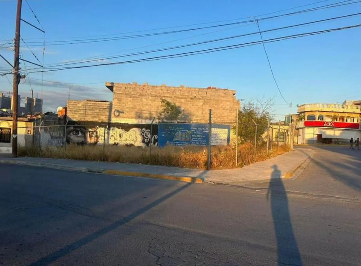 Imagen 3