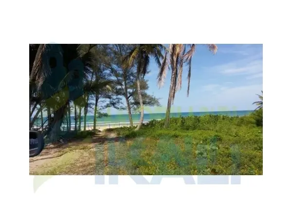 Terreno en venta en Majahual, Tamiahua — foto 3 de 9