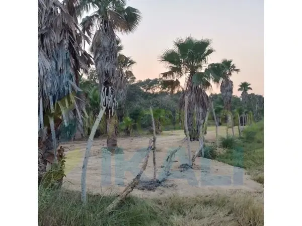 Terreno en venta en Emiliano Zapata, Tuxpan — foto 2 de 11